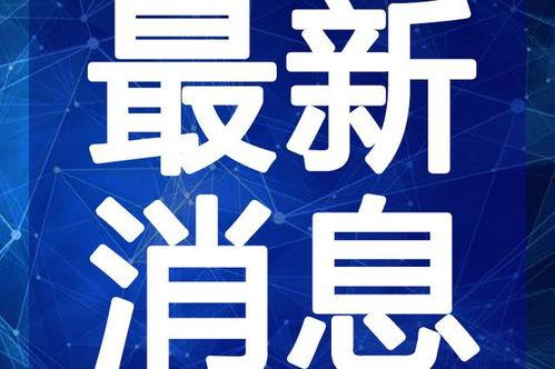 羊村最新爆料新闻报道视频,揭秘新闻报道背后的精彩瞬间  第1张